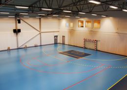 REFERENCE R65 Omnisports Tarkett от ООО "А Стиль" Новосибирск